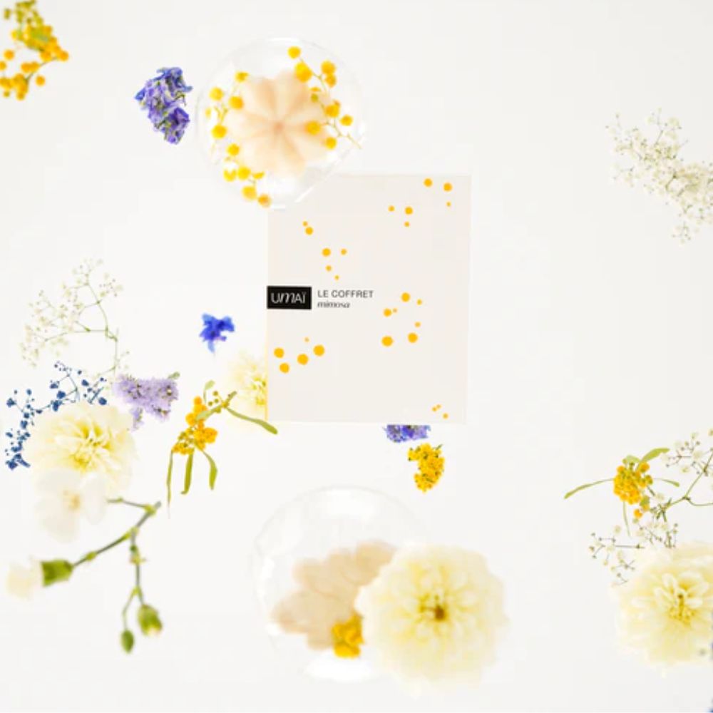 Coffret mimosa - UMAI