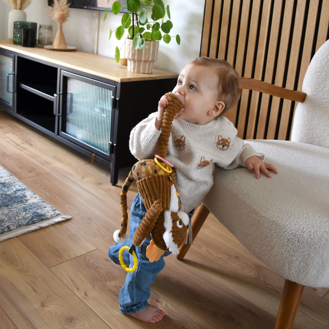 Peluche d'activité nomade Spéculos - LES DEGLINGOS