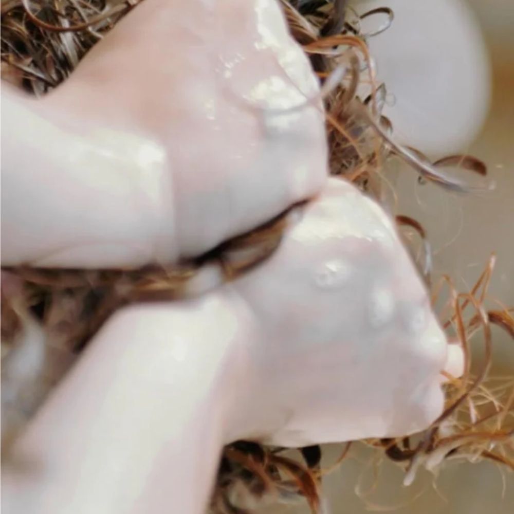 Crème définition boucles - UMAI